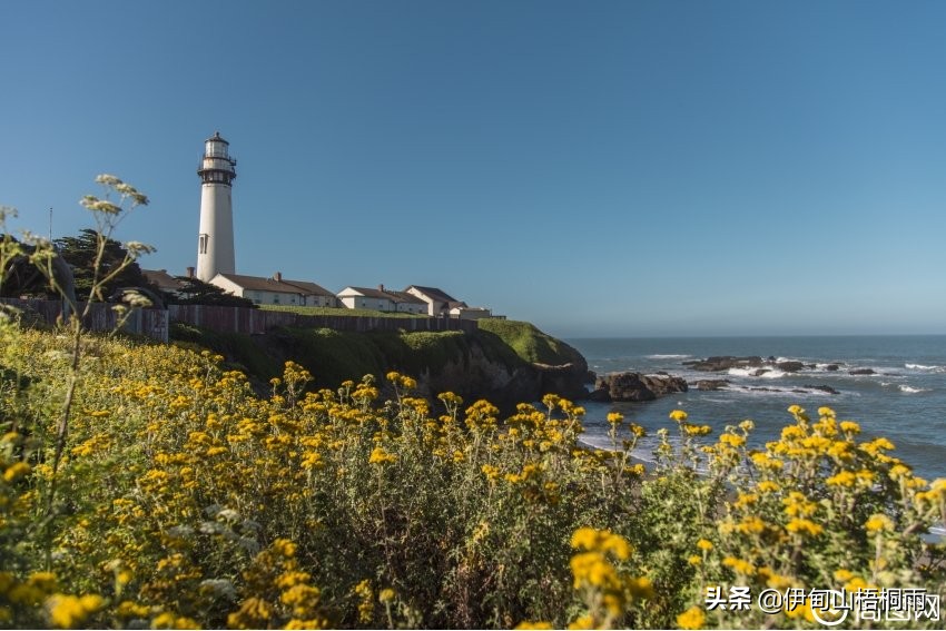 出国体验生活新西兰,出国新西兰好还是澳洲好