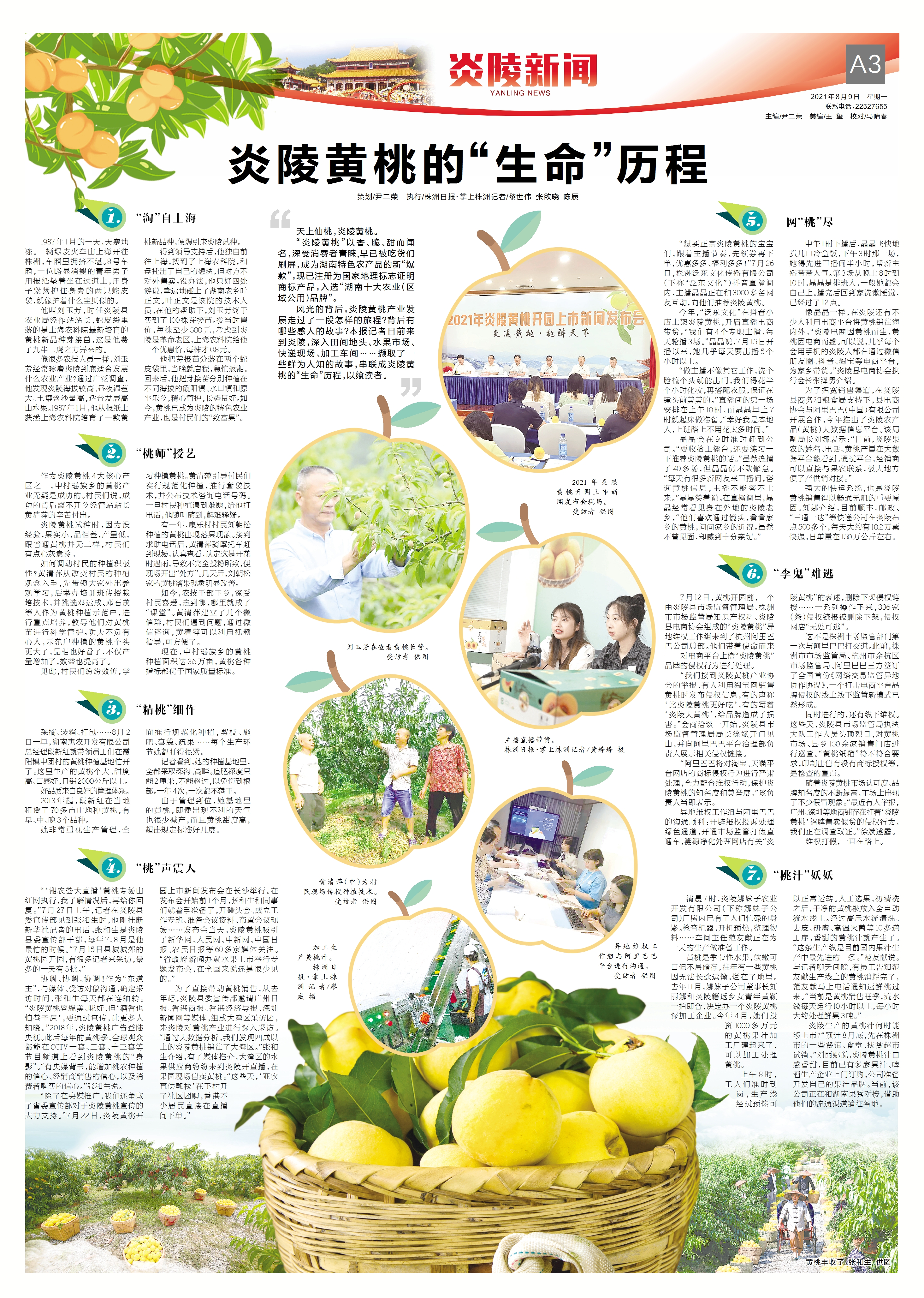 炎陵黄桃的特点,炎陵黄桃的资料