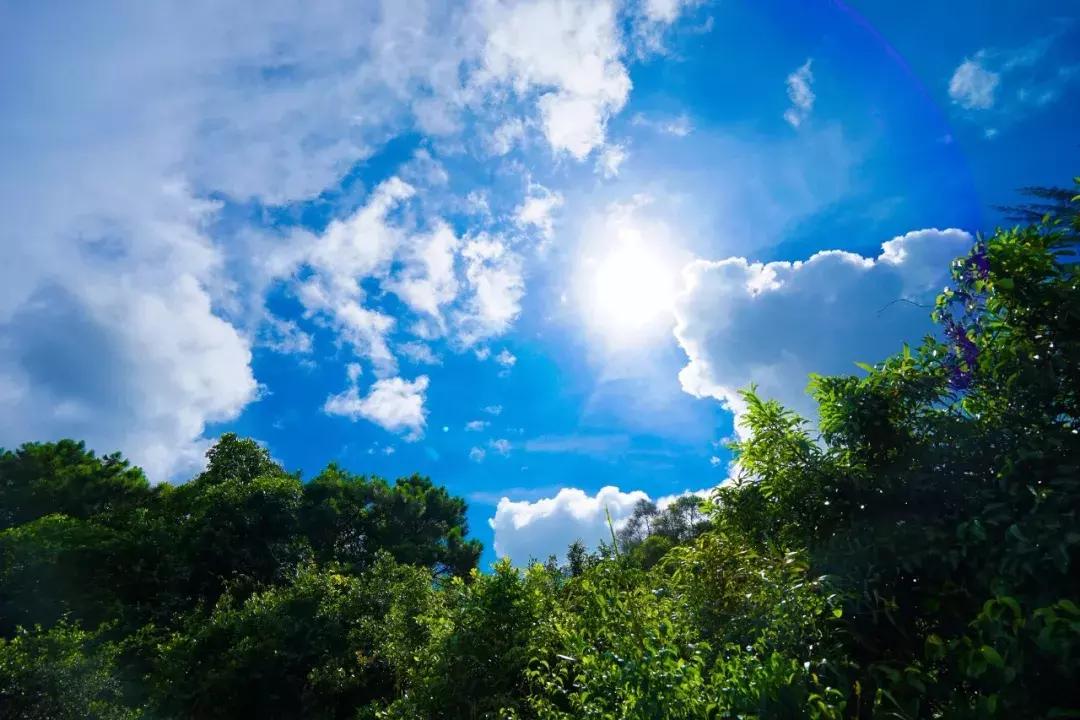 香港冬天徒步麦理浩径攻略,香港麦理浩徒步路线