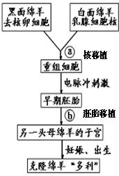 生物选修三1.1-1.3总结,生物选修一专题三