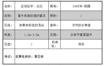 月季图鉴哪本书好,淘宝上最好养的月季品种