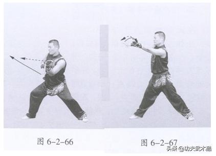 地术拳动作,地术拳实战技法