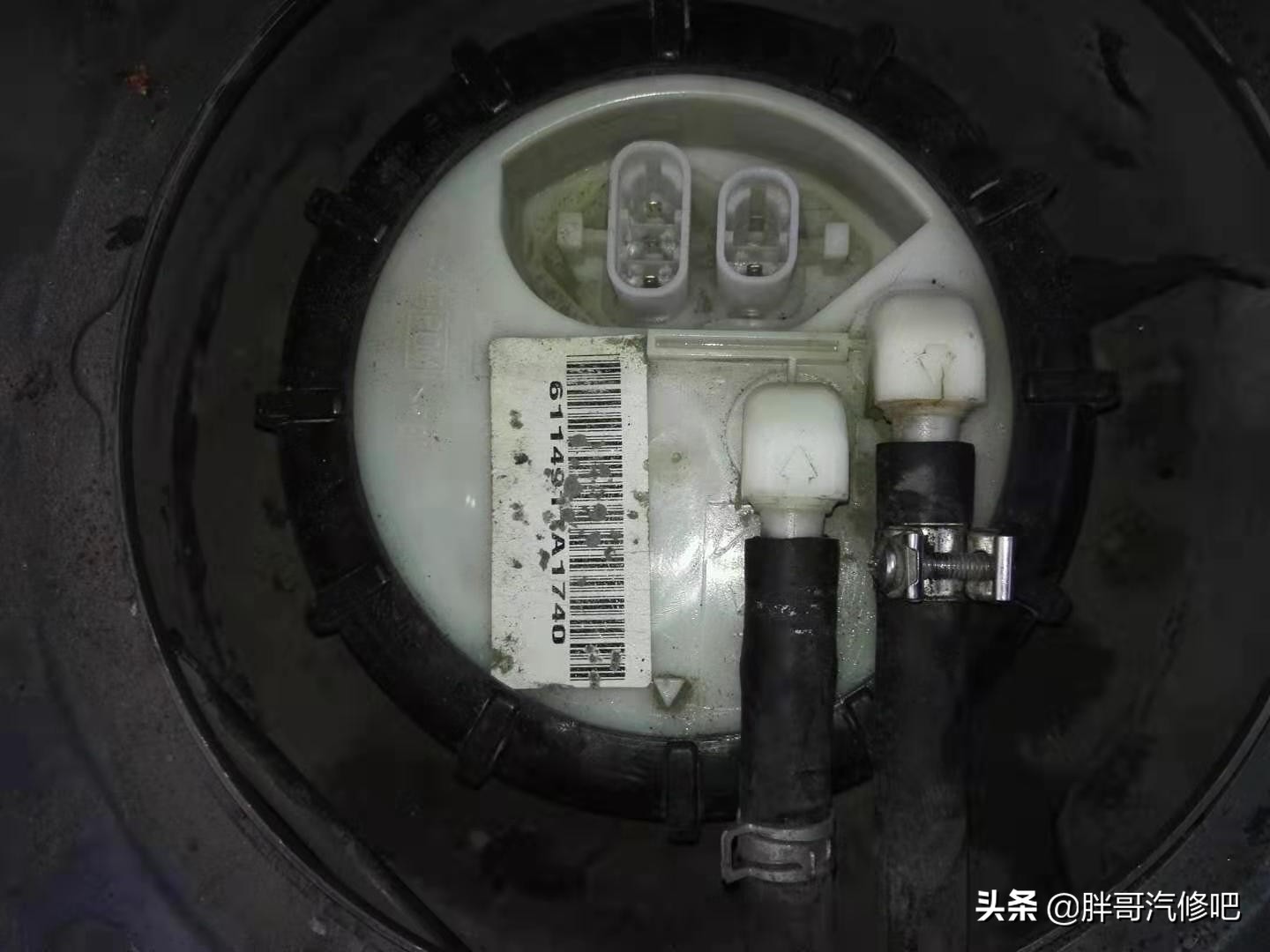 19年蓝鸟难启动很抖,2004年老蓝鸟