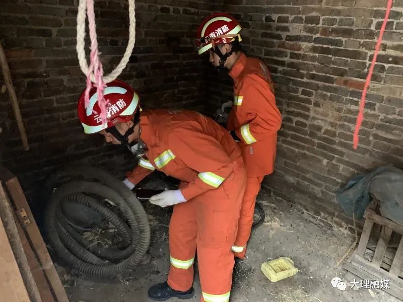 夏天小心蛇出没,小心蛇出没夏秋季节