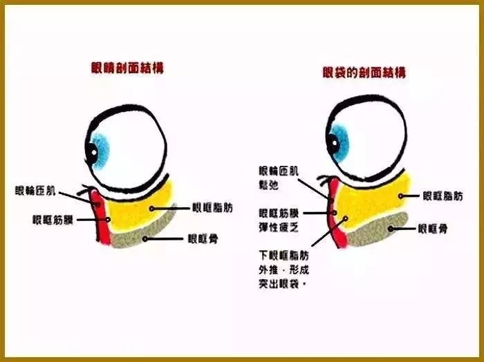 鏈変簡婊ら暅鍐嶅ぇ鐨勭溂琚嬮兘涓嶆槸浜嬪効,鍏眰婊ら暅