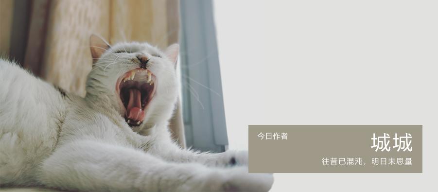 我去了最适合谈恋爱的珠海，回来却还是个单身狗