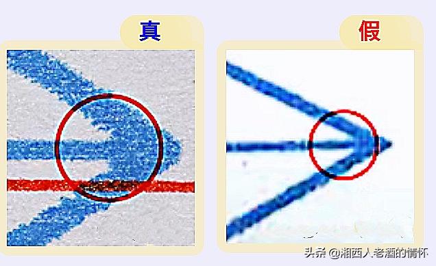 2021年蓝瓶飞天茅台整箱真假鉴别,2021飞天茅台合格证