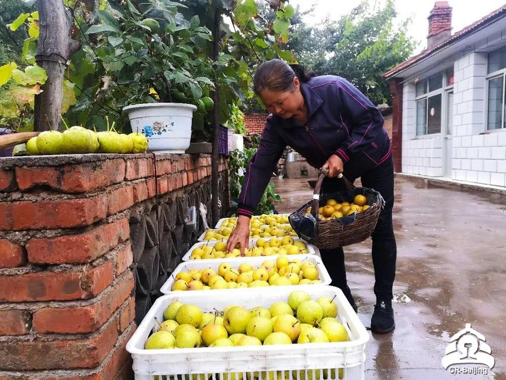 大课间你笑起来真好看舞蹈,大课间你笑起来真好看教学分解