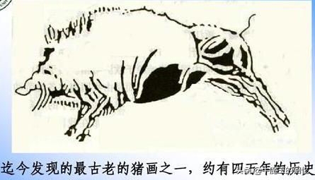 猪年的习俗有哪些,猪年是什么