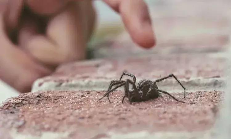 夏天最要小心这四种虫子,在外面遇到这种虫子千万别用手拍