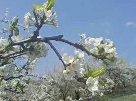 每个人记忆中的姥姥,你们记忆中的姥姥是什么样的