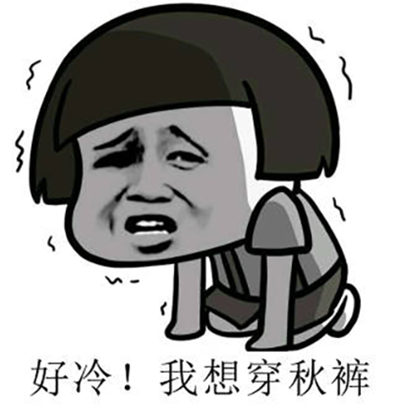 打底秋冬款裤袜推荐超自然第一名,最百搭打底袜