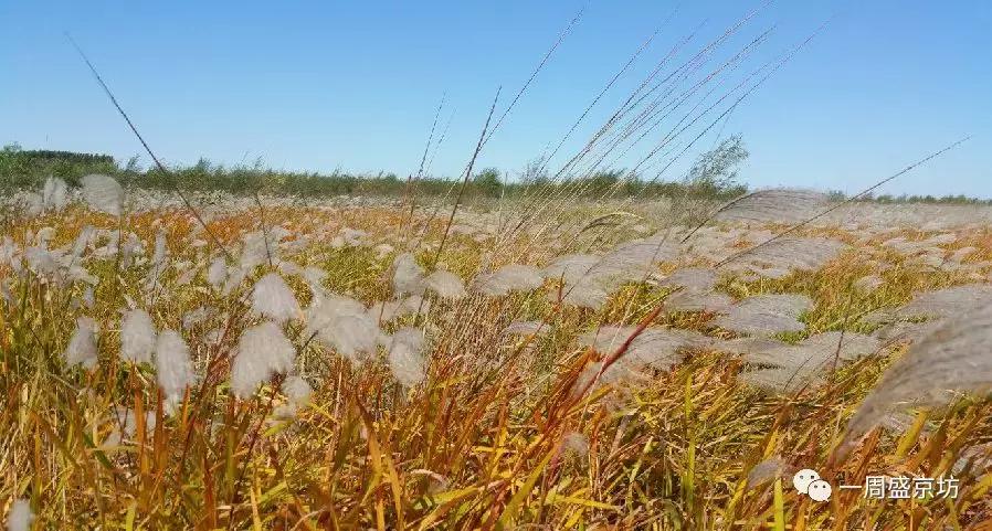 沈阳楼市销量前三甲，这些版块都有哪些优势？