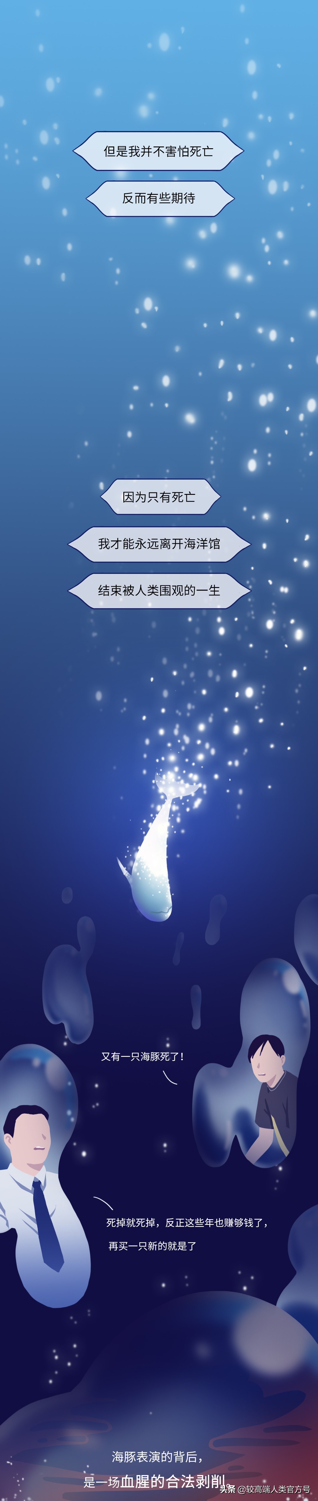 囚禁海豚,海豚表演有多残忍