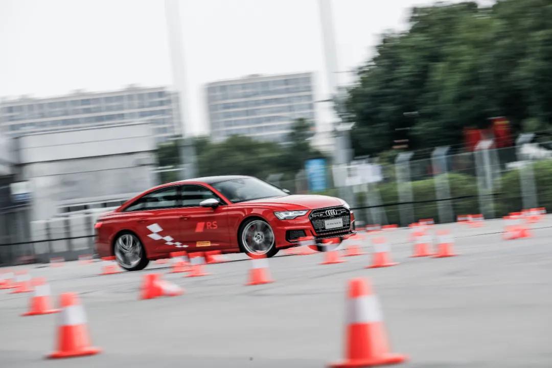 这才是真正的人生赢家,这才是真正的人参枸杞茶