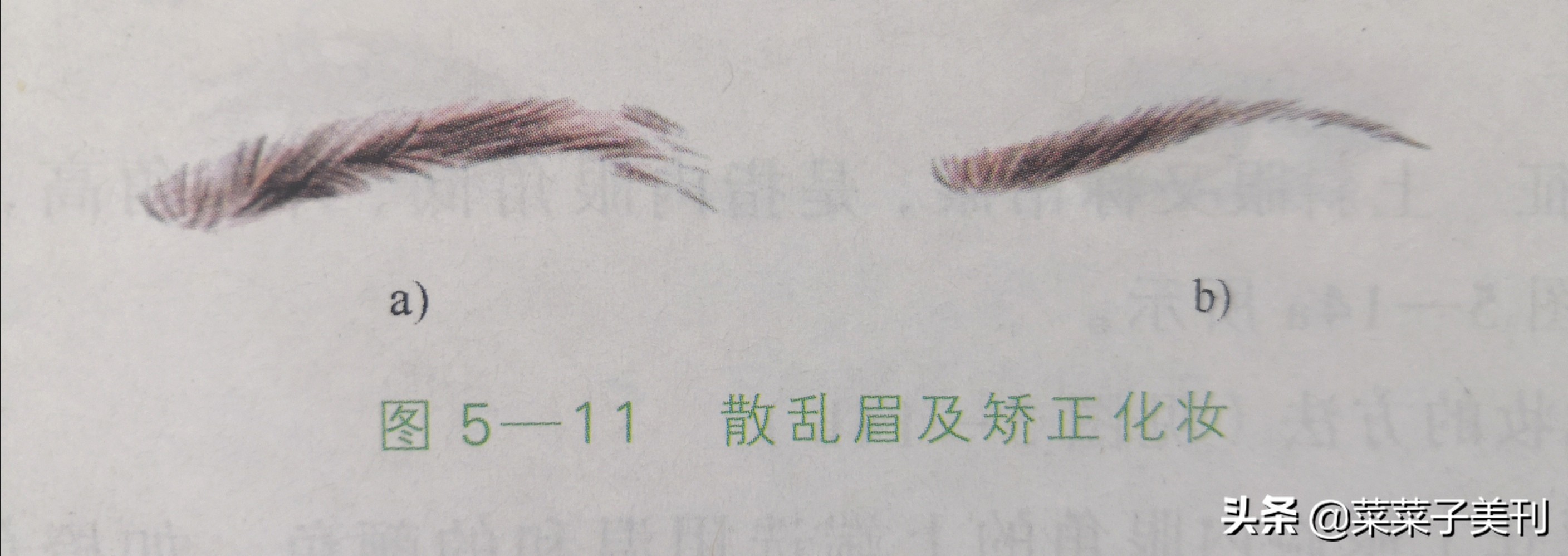 改眉毛的10个方法,最好看的眉毛改造