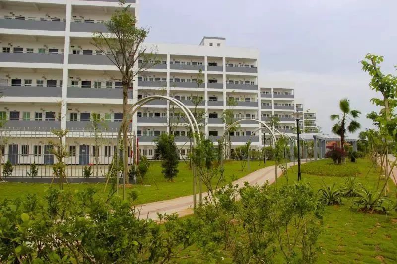 专插本院校广州工商学院,广州工商学院夏季高考大专