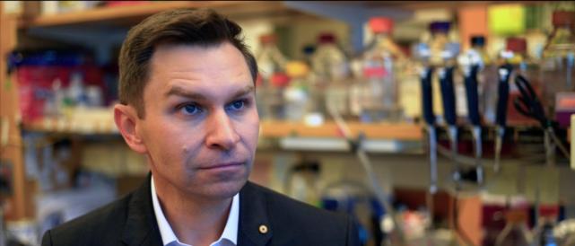 美军特种部队营养药,美军特种部队提神药片