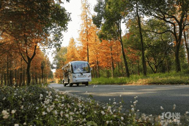 西溪湿地公园免费区域几点开门,西溪湿地免费区域攻略