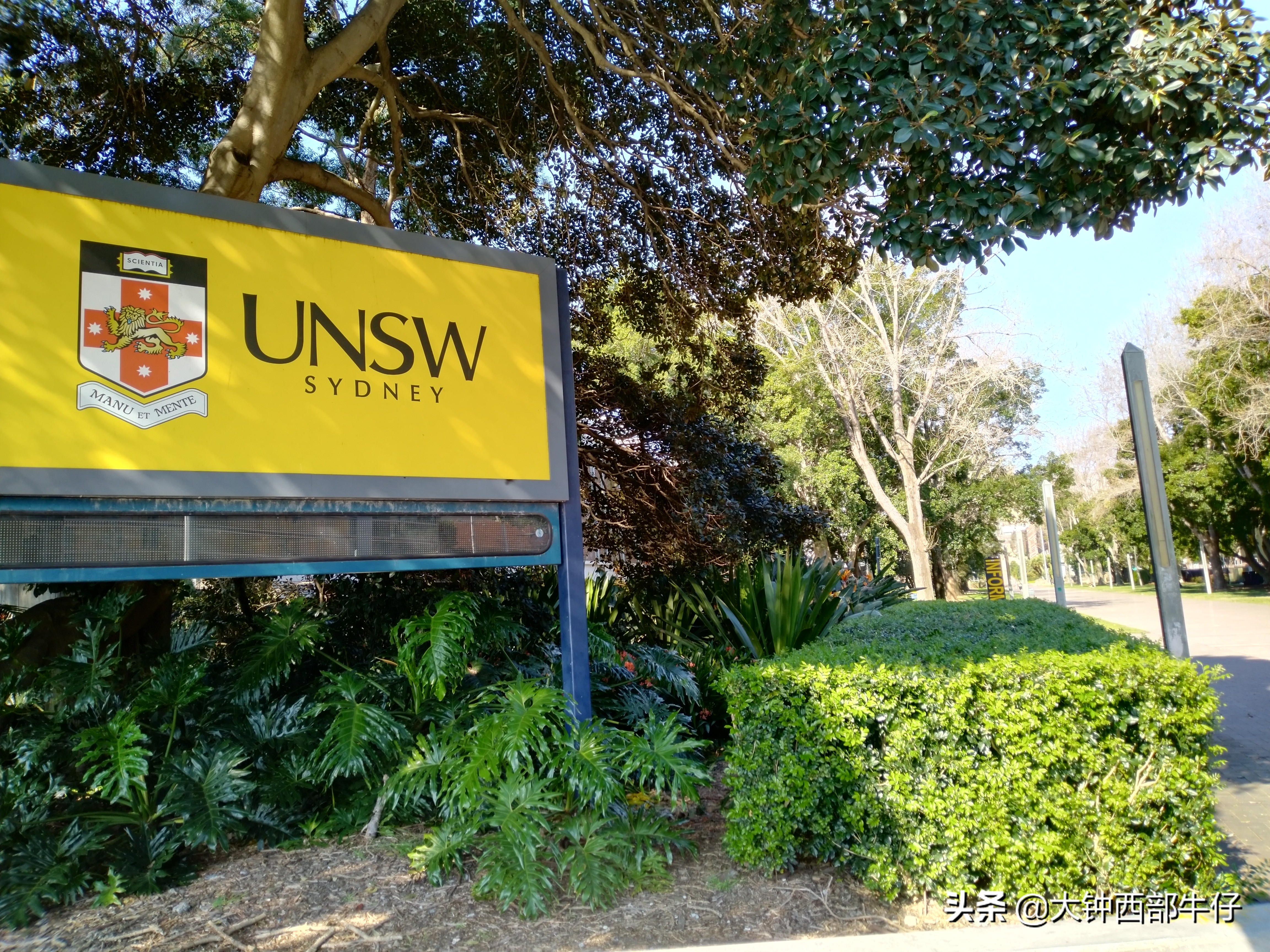 我逛了逛新南威尔士大学，这可是澳洲八大高校之一