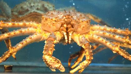 上海最贵火锅有哪几家,上海好吃火锅店排名第一