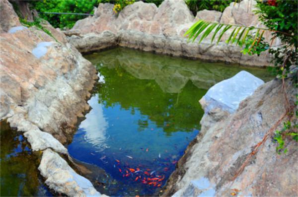 重庆到三亚怎么去最便宜,重庆到三亚途经哪些旅游城市