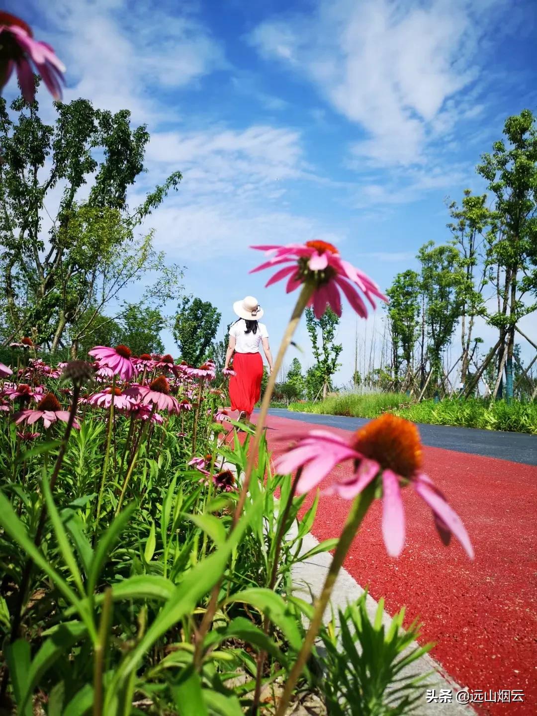 小米自拍杆使用教程,锐塔克自拍杆使用视频