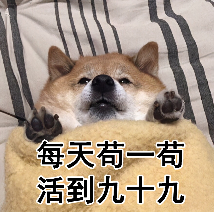 “你太苟了”表情包：做人就是要苟且偷生啦