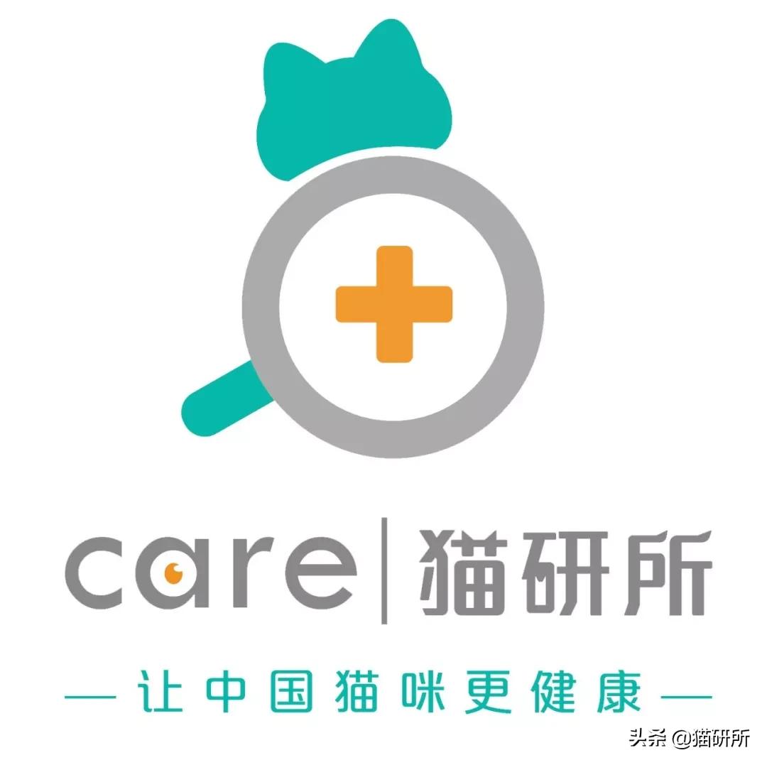 消灭跳蚤有什么特效药,消灭99.99%的跳蚤