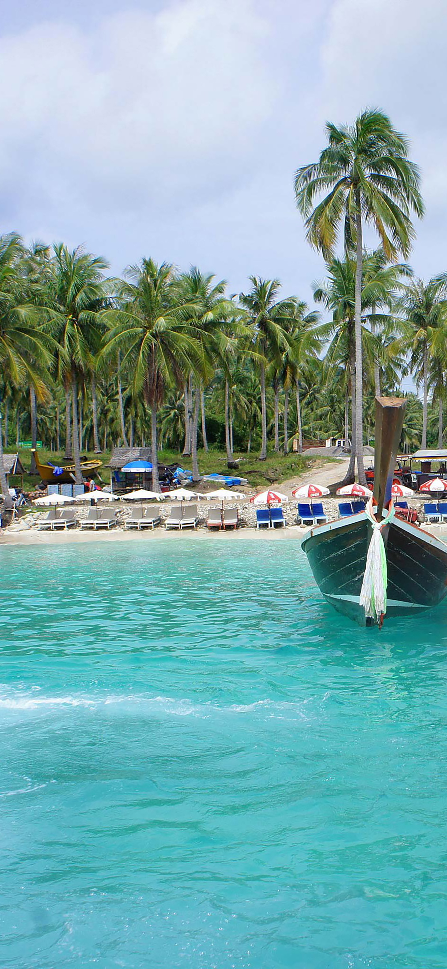 蓝天大海沙滩椰树图片高清壁纸,太阳蓝天大海海鸥的壁纸