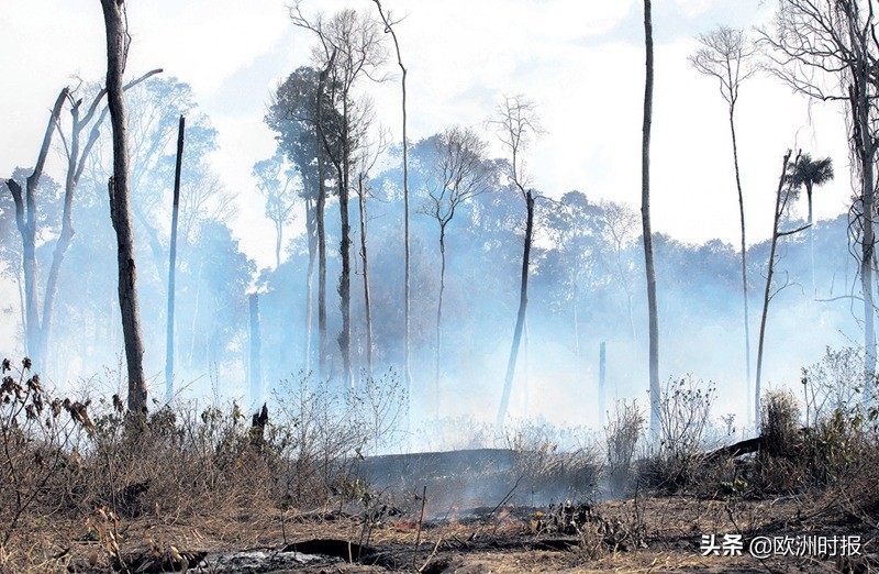全欧了:法国巴西“骂战”不断竟是为了钱?