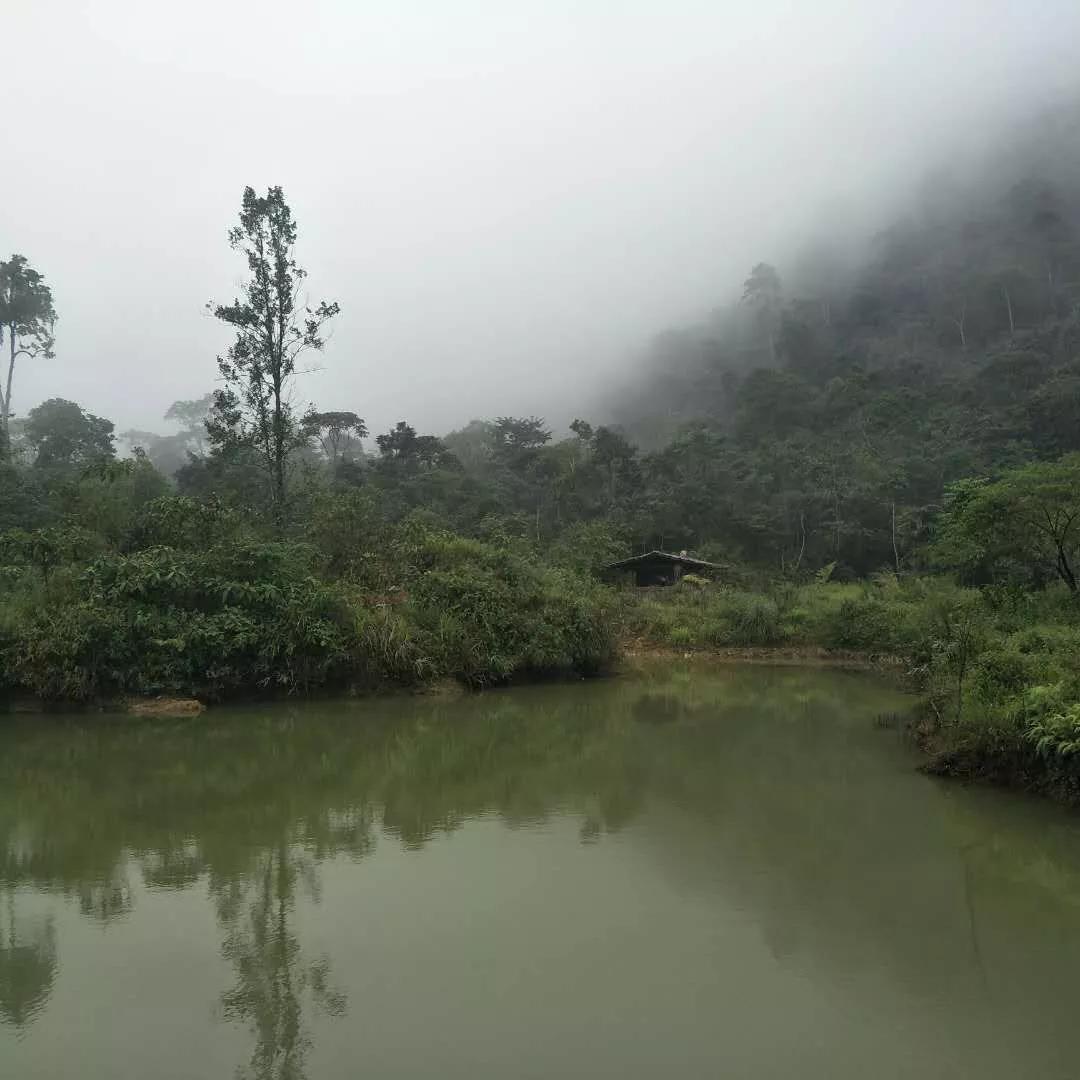 一路艰险一路风景,一路风景1937