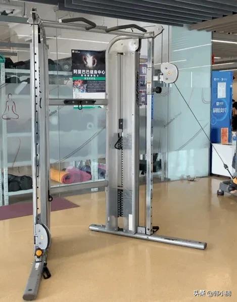 健身房运动器械全解,健身房器械大全和运动计划