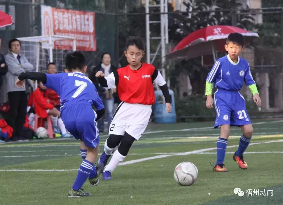 足球训练营公益,足球训练公益项目