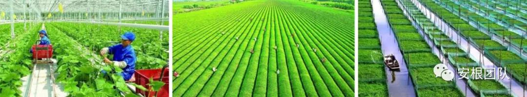 茶人学习:欧洲国家农民合作社融资实践