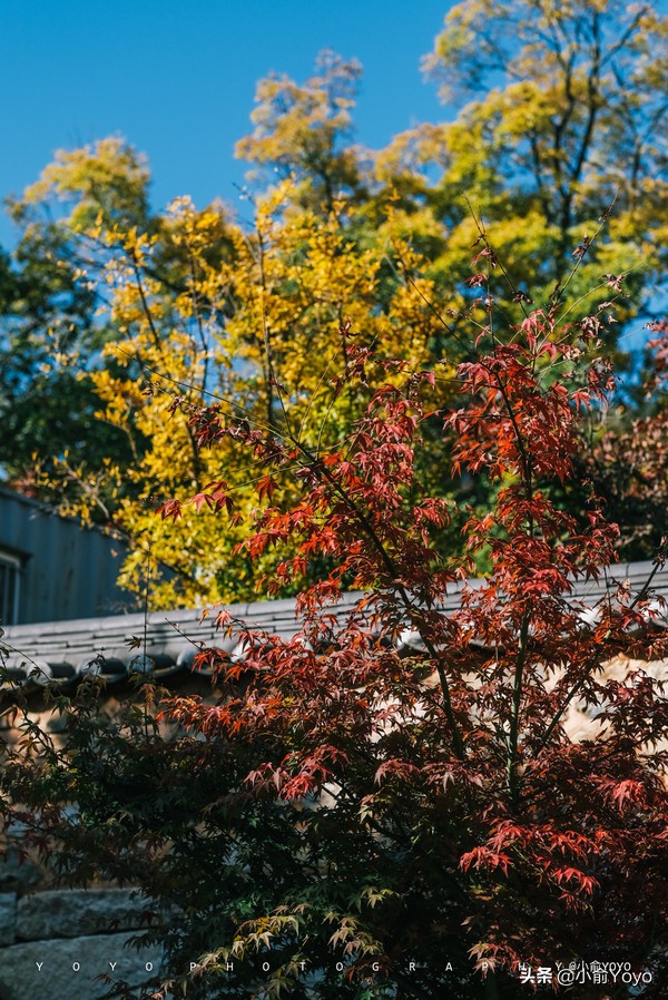 韩国旅游不可错过的景点,韩国不能错过的3部电影