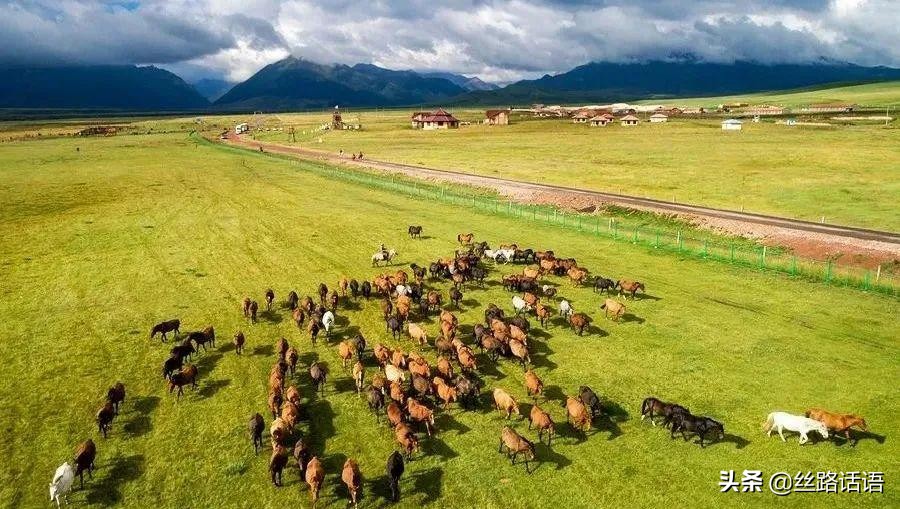 春暖花开等你来赏花,春暖花开等你来赏花原唱视频
