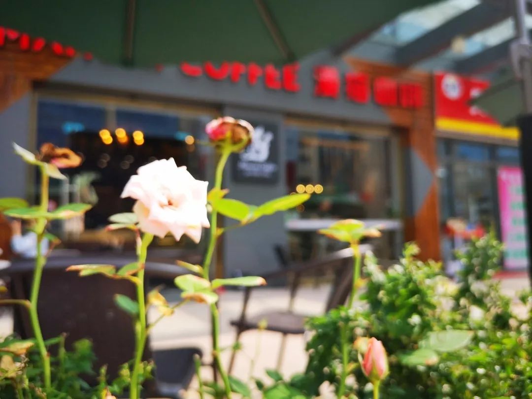 一杯回血！漫猫咖啡带你把生活里的一言难尽，全部一言而尽