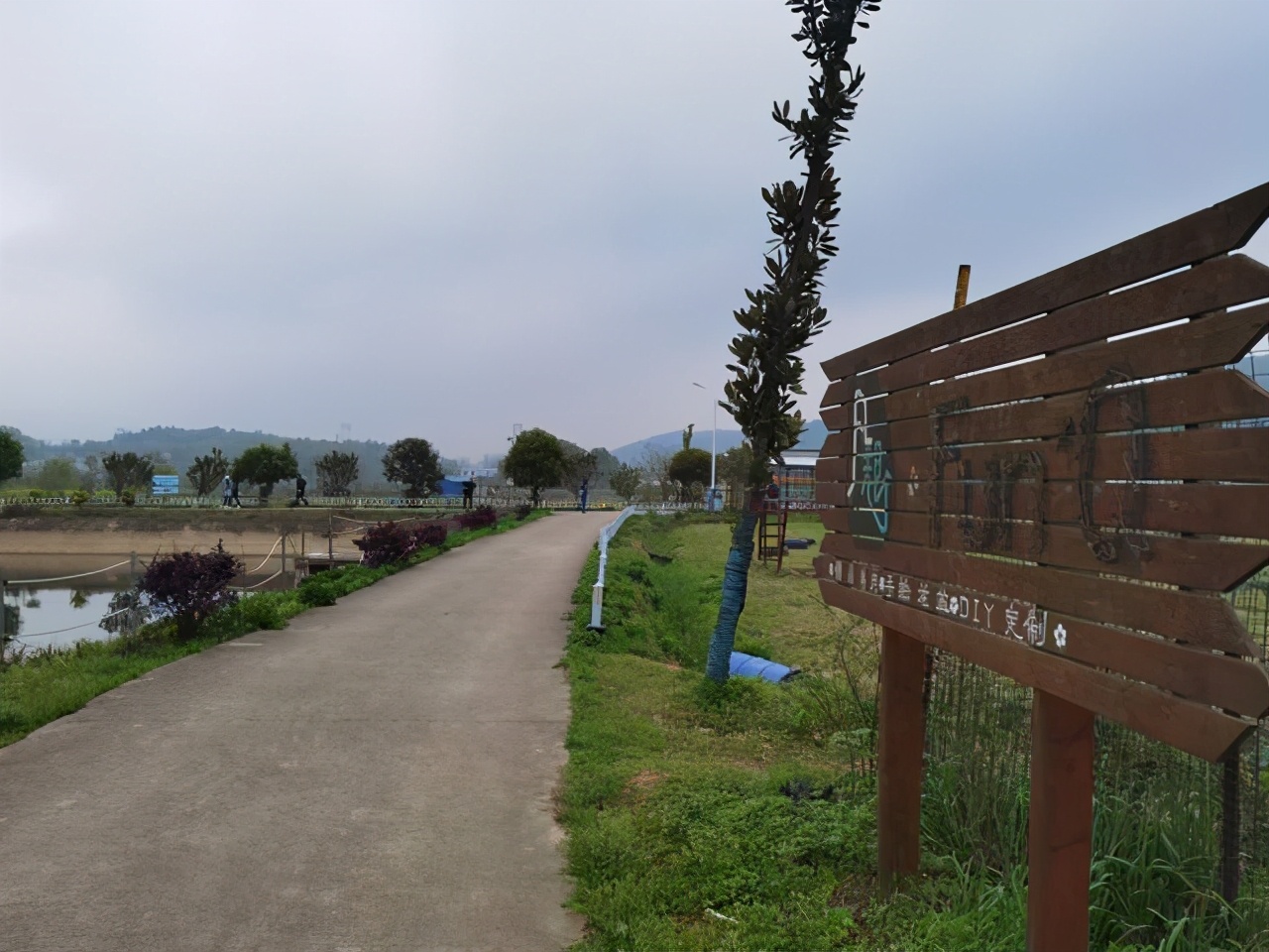 长沙月亮岛附近有哪些好的农家乐,长沙农家乐好玩的地方推荐一日游