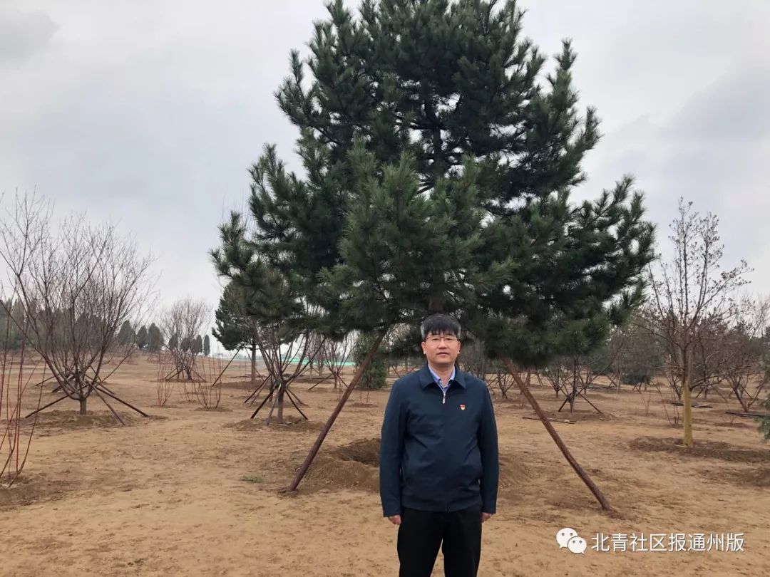就是通州这5个人，和总书记一起植树了！听听他们都说了啥？