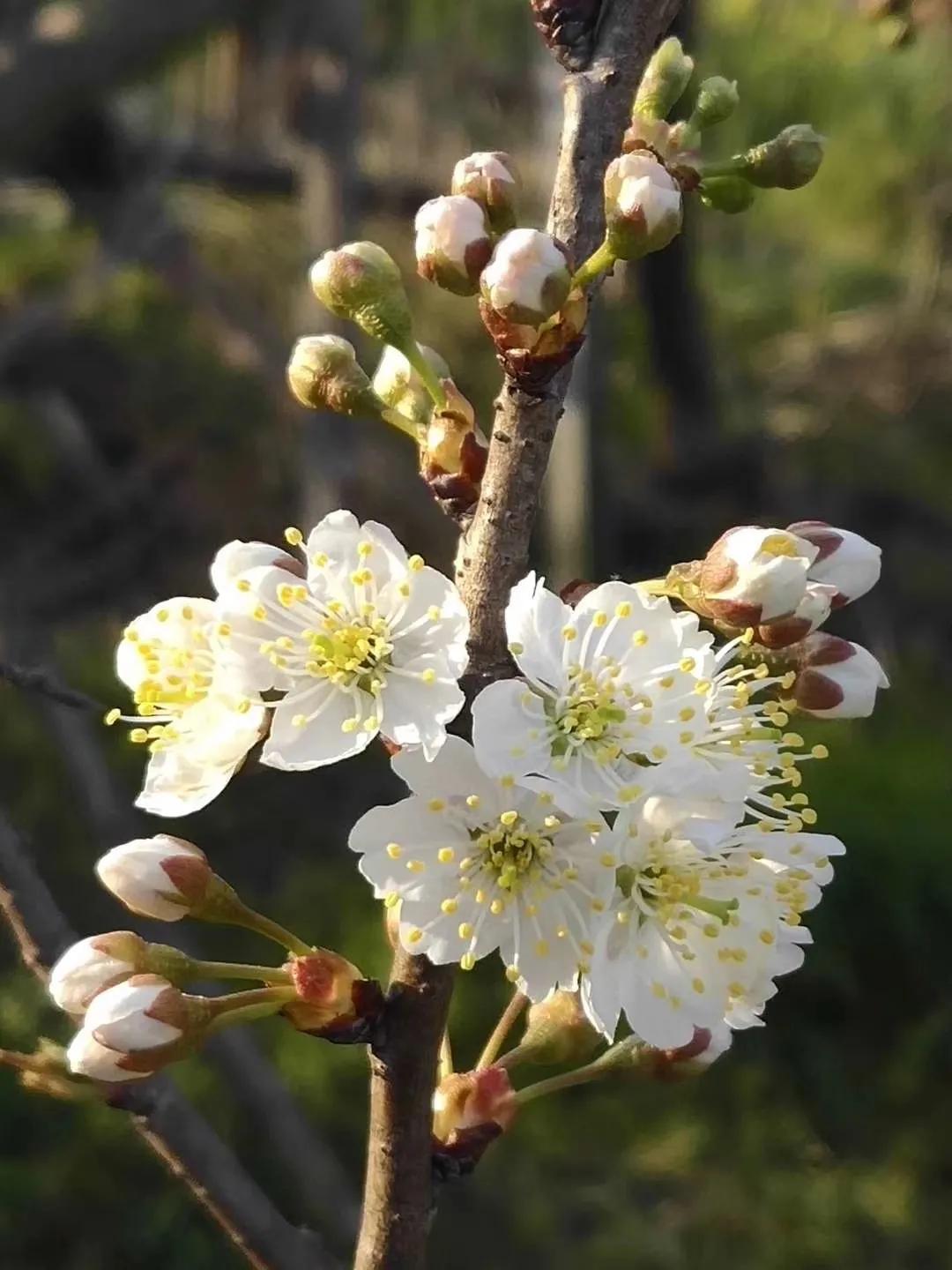 有一种缘分叫母子缘,有一种缘分我们要珍惜