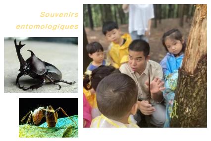 寒假研学活动圆满结束,寒假研学冬令营