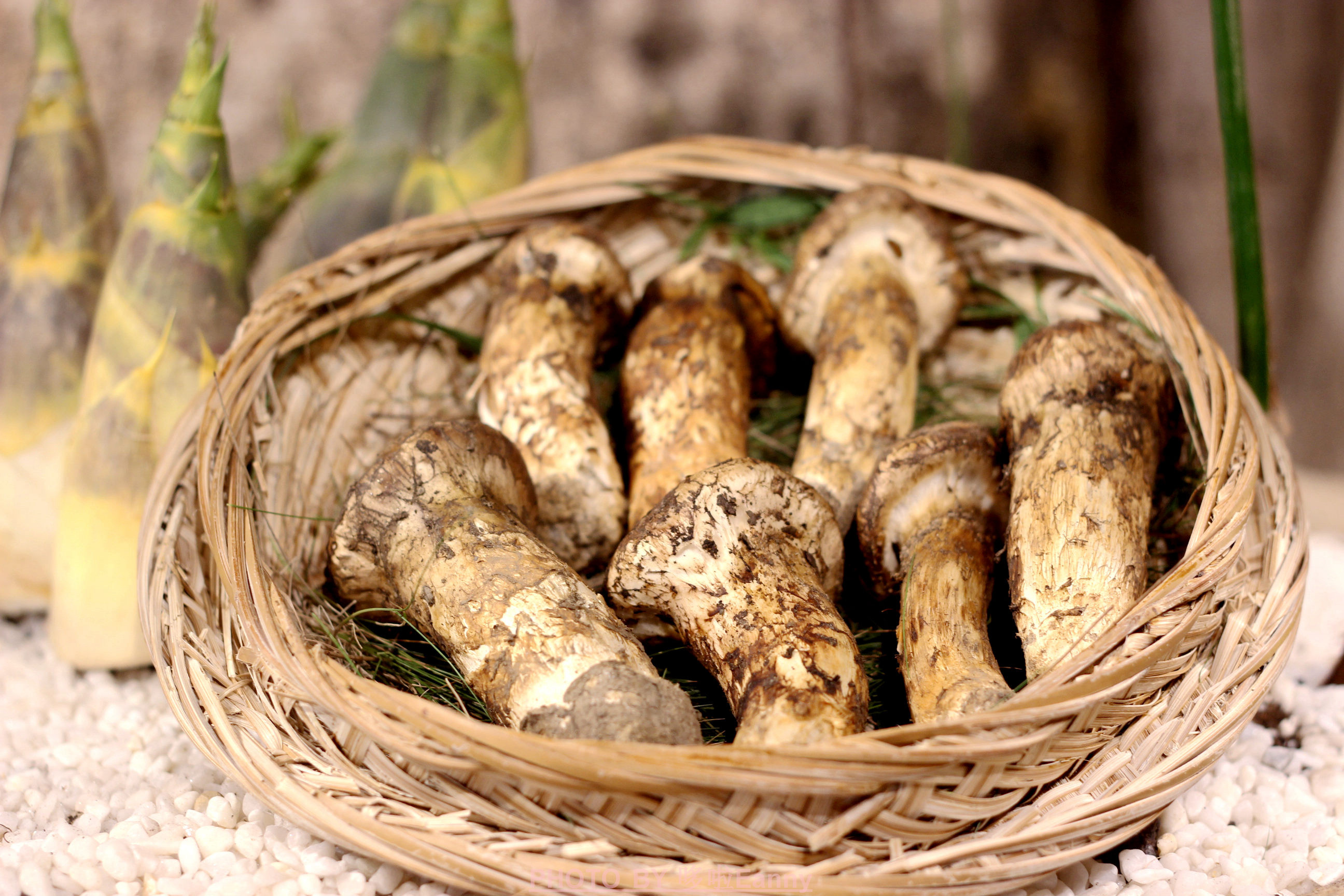 来一场仪式感,最有仪式感的素食