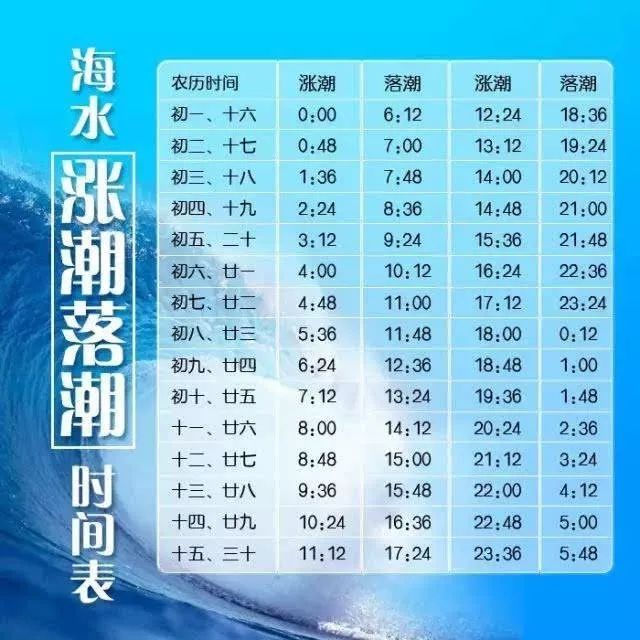 国内哪个海边赶海可以捡到贝壳,捡贝壳赶海好去处