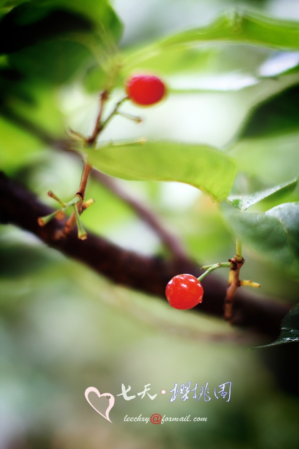 给沙雕闺蜜的亲密昵称,闺蜜群昵称沙雕简短四人