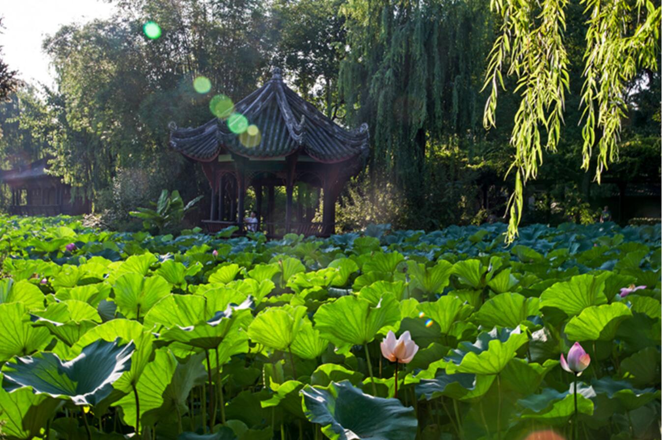 新都斑竹园升庵文创街区,新都升庵故里文化小镇好玩吗