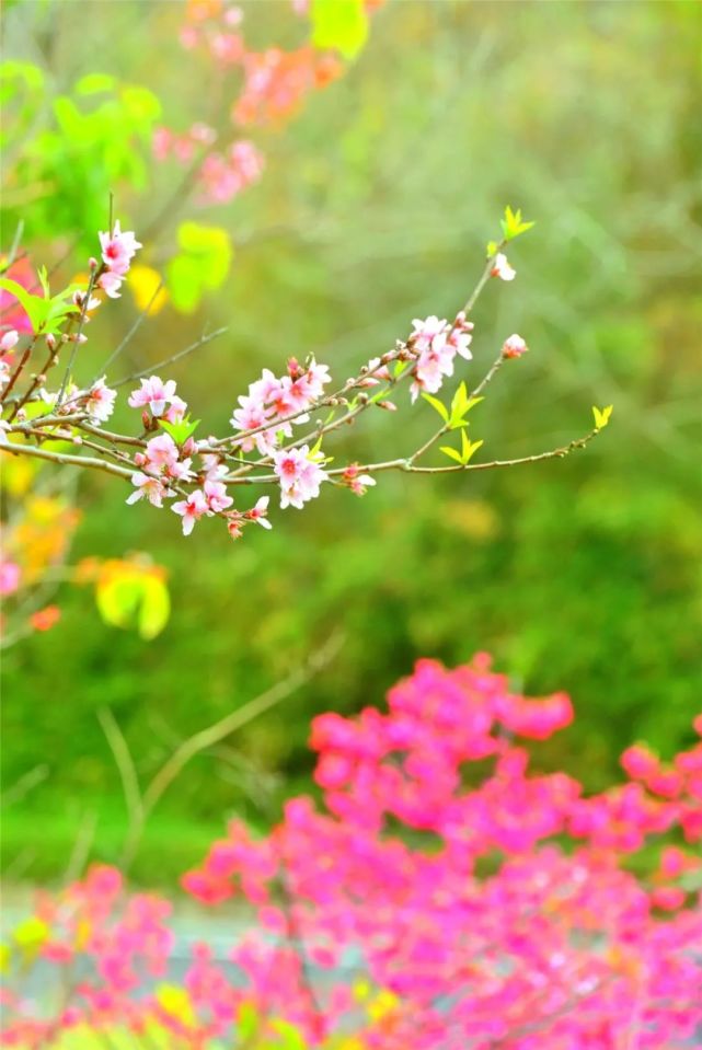 厦门五一适合带孩子去哪旅游,带孩子去哪里旅游最好玩厦门周边