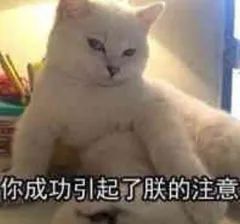 广州周边有山有水的旅游地方,广州有山有水的旅游景点推荐