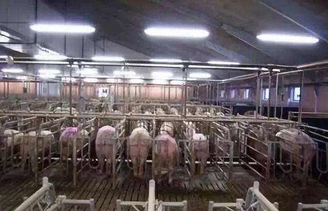 循环农业致富,循环农业结出致富果