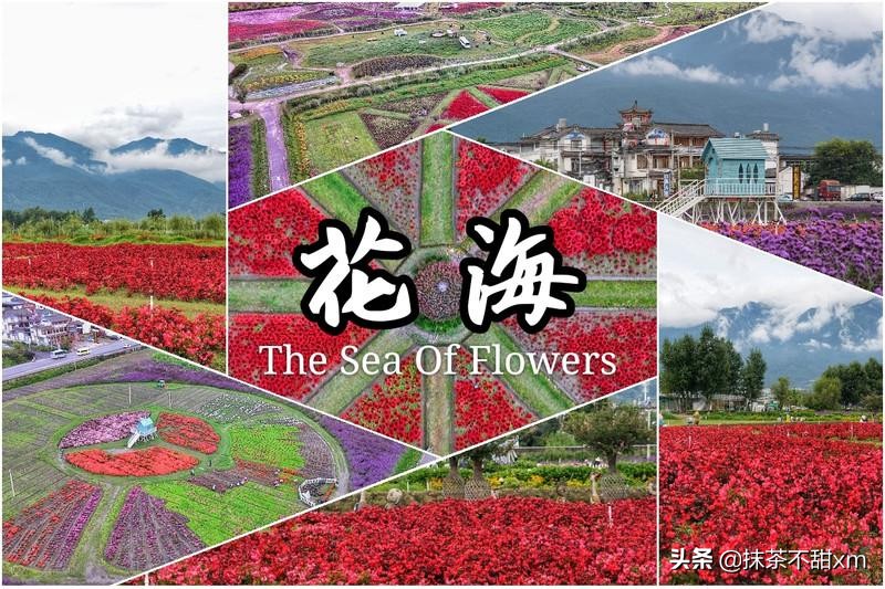 云南旅游自由行攻略昆明大理丽江,云南大理丽江旅游攻略6天5晚